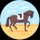 Betting on horse races
