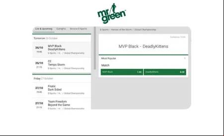 Available esports markets at Mr Green