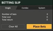 eSports betting on Spin Palace
